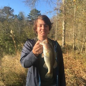 Meet your Posher, Nate